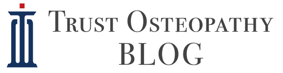 大阪市城東区の整体院トラストBLOG